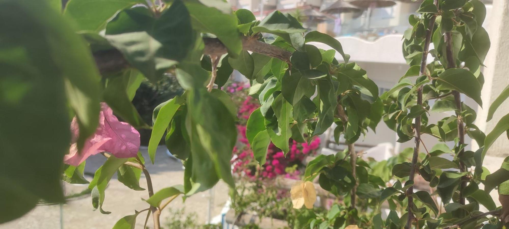 Sea Breeze Apartment Bougainville Bay ساراندا المظهر الخارجي الصورة