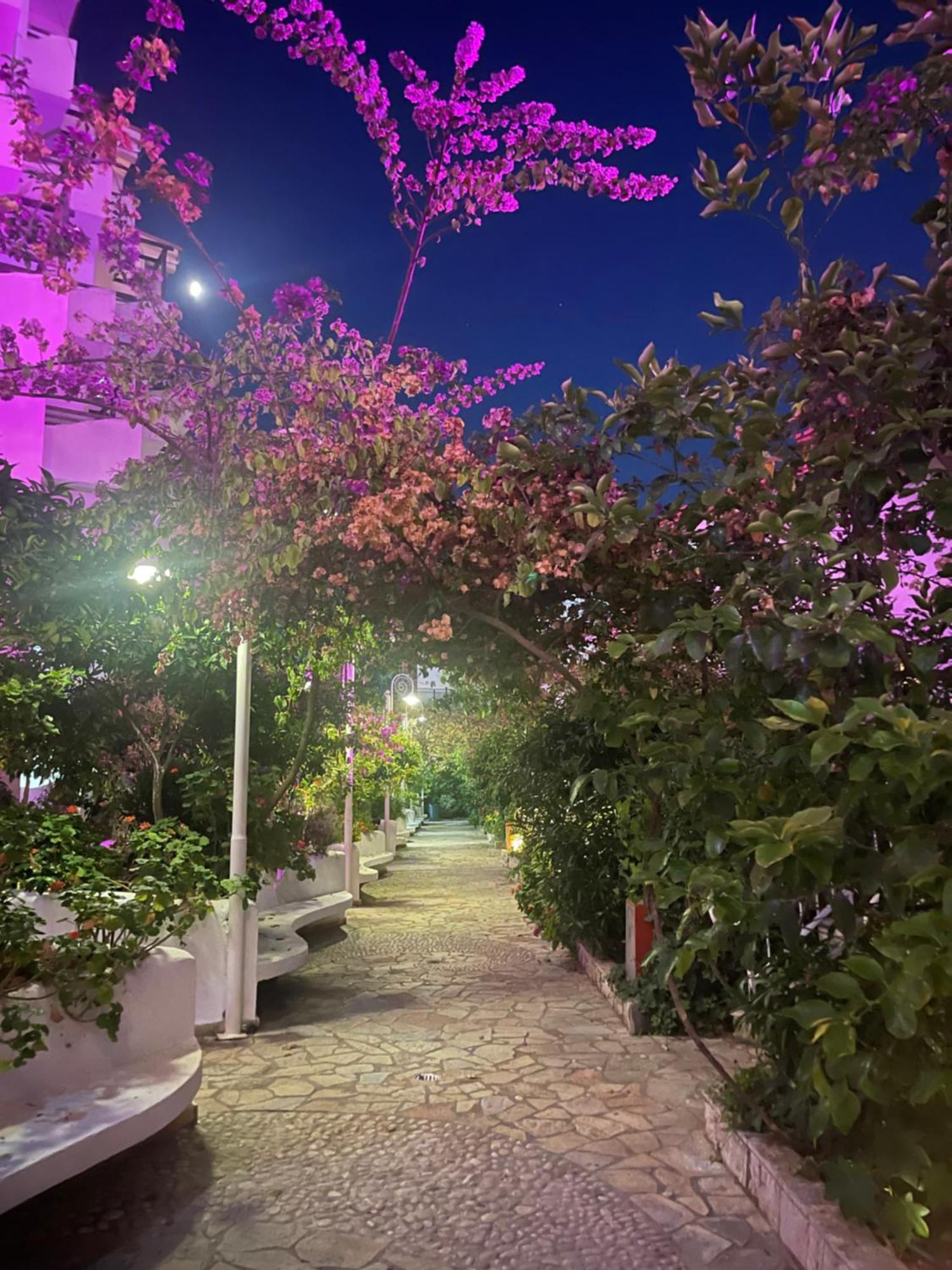 Sea Breeze Apartment Bougainville Bay ساراندا المظهر الخارجي الصورة